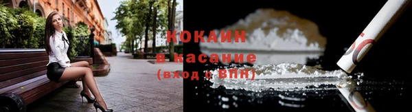 мяу мяу мука Горно-Алтайск