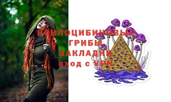 мяу мяу мука Горно-Алтайск