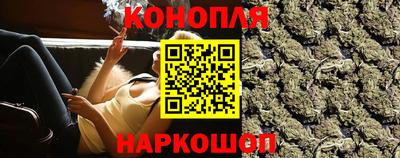 стаф Кингисепп