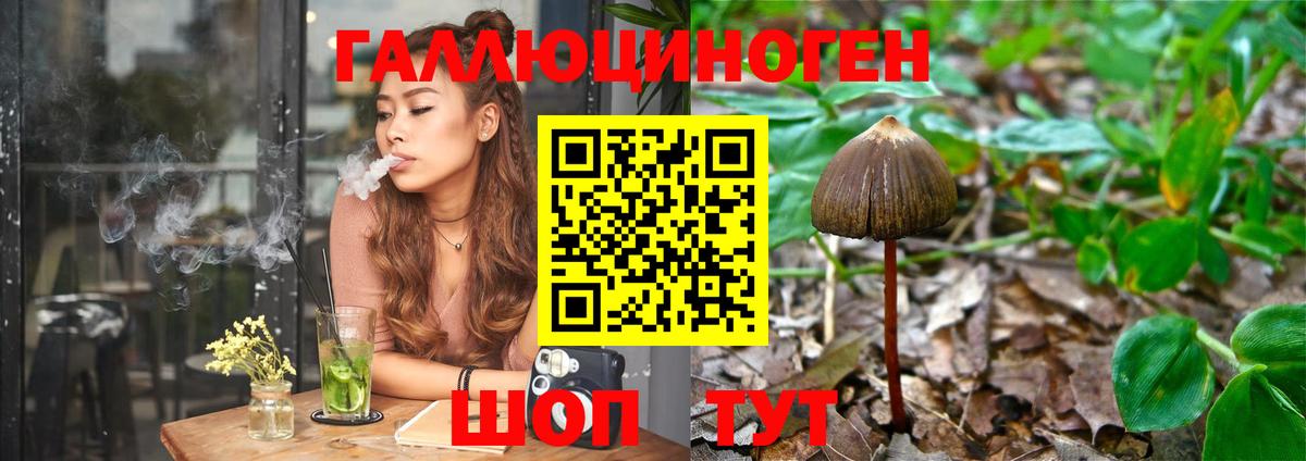 Псилоцибиновые грибы Magic Shrooms  Галлюциногенные грибы Magic Shrooms  магазин продажи   Нурлат 